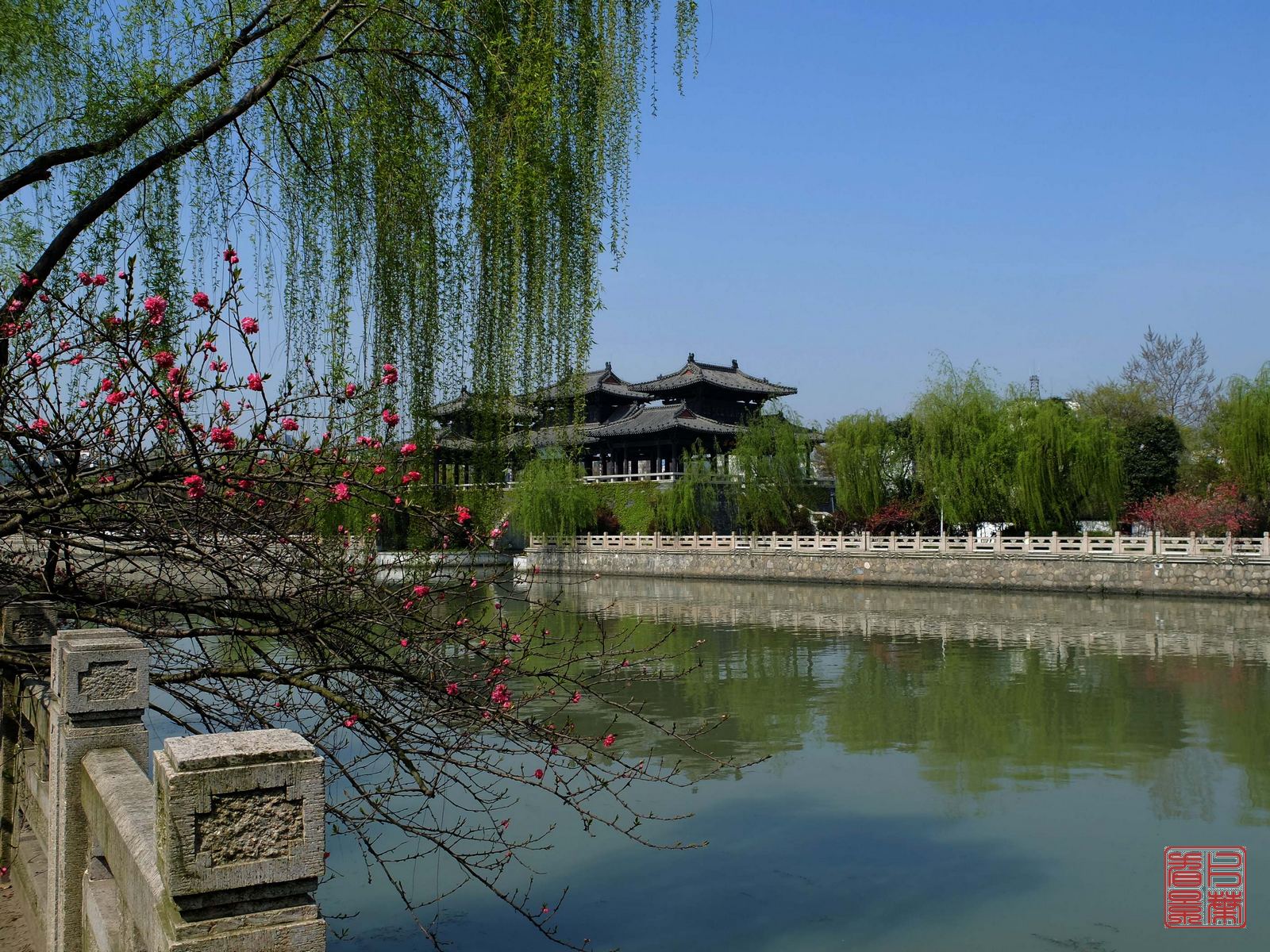   DSCF6583.jpg