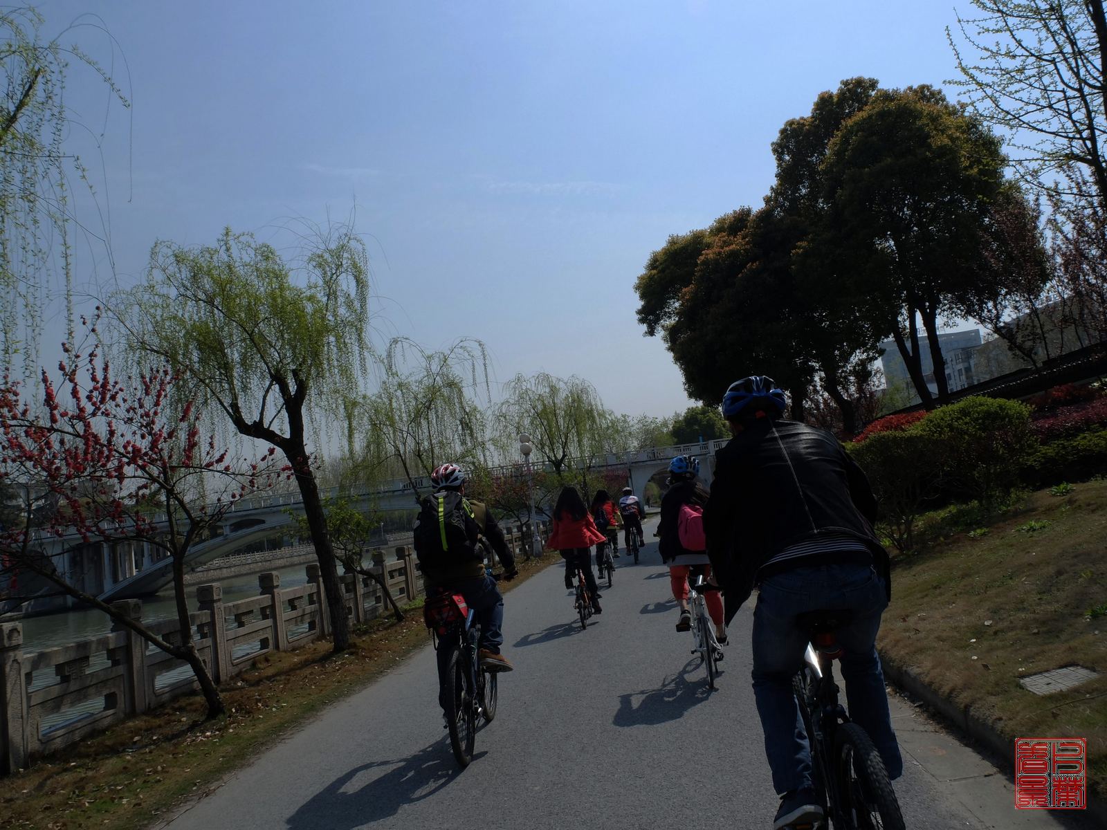   DSCF6590.jpg