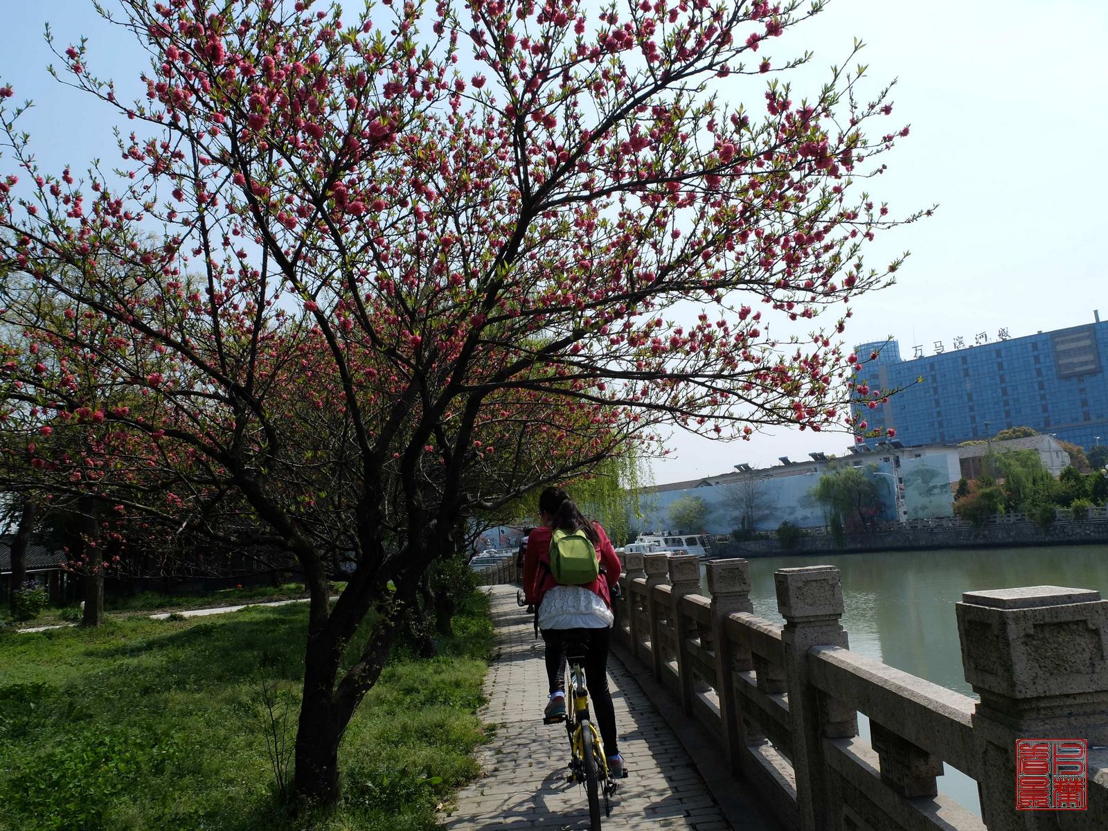   DSCF6629.jpg
