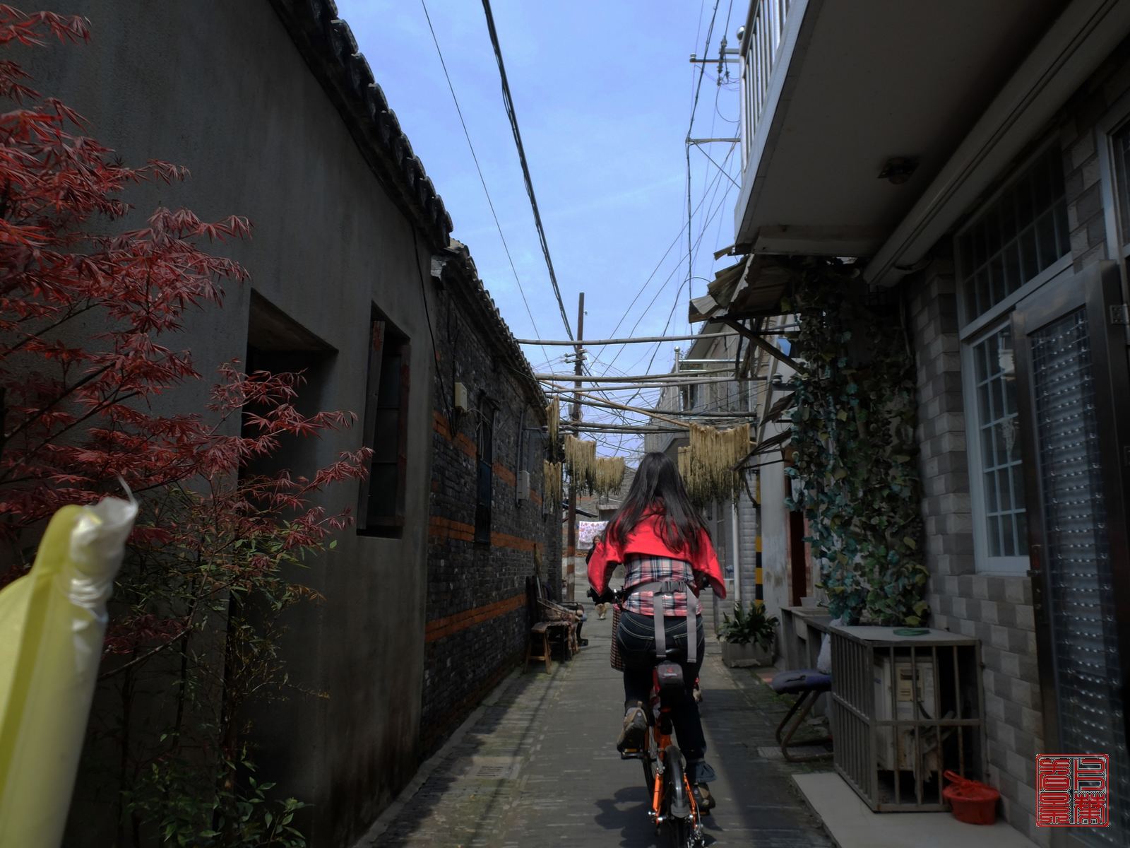   DSCF6704.jpg