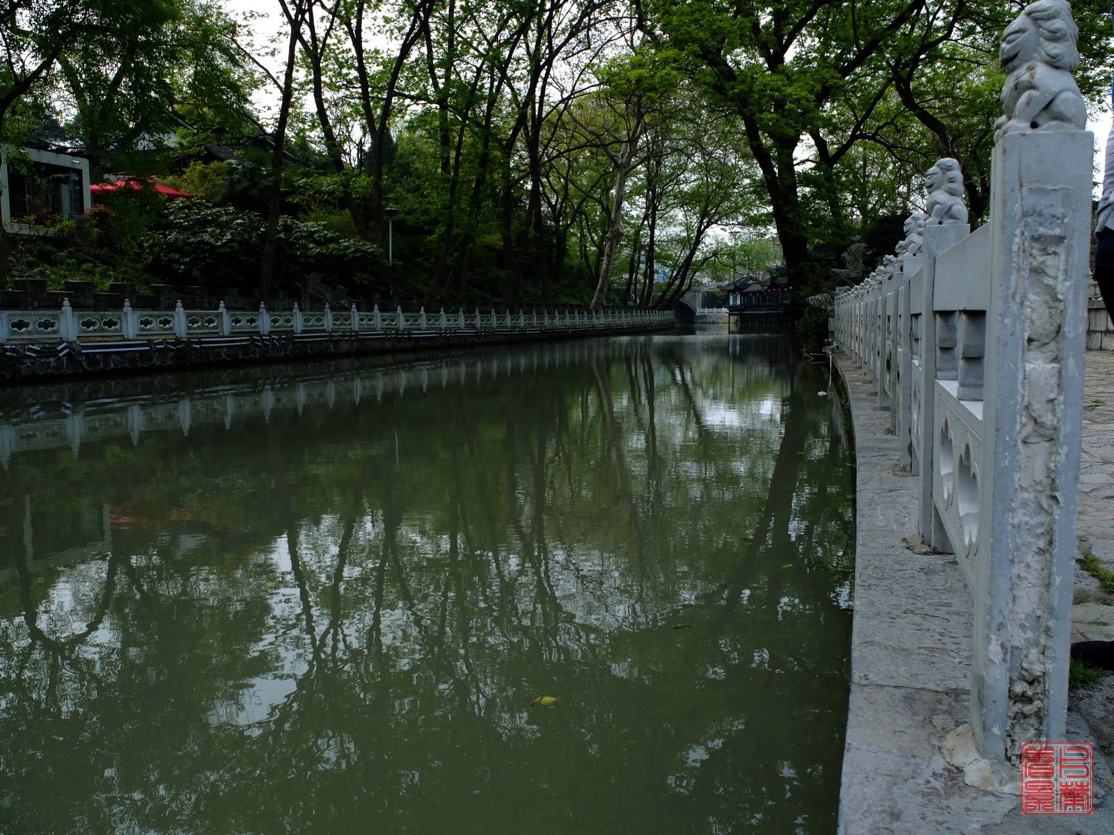   DSCF6764.jpg