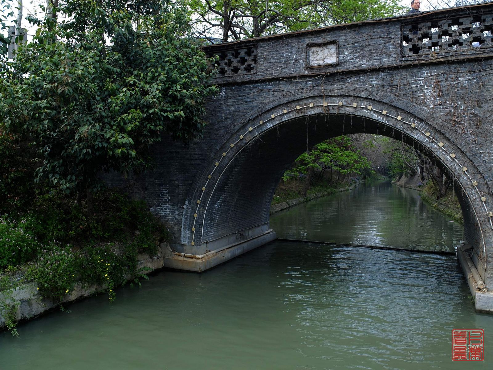   DSCF6769.jpg