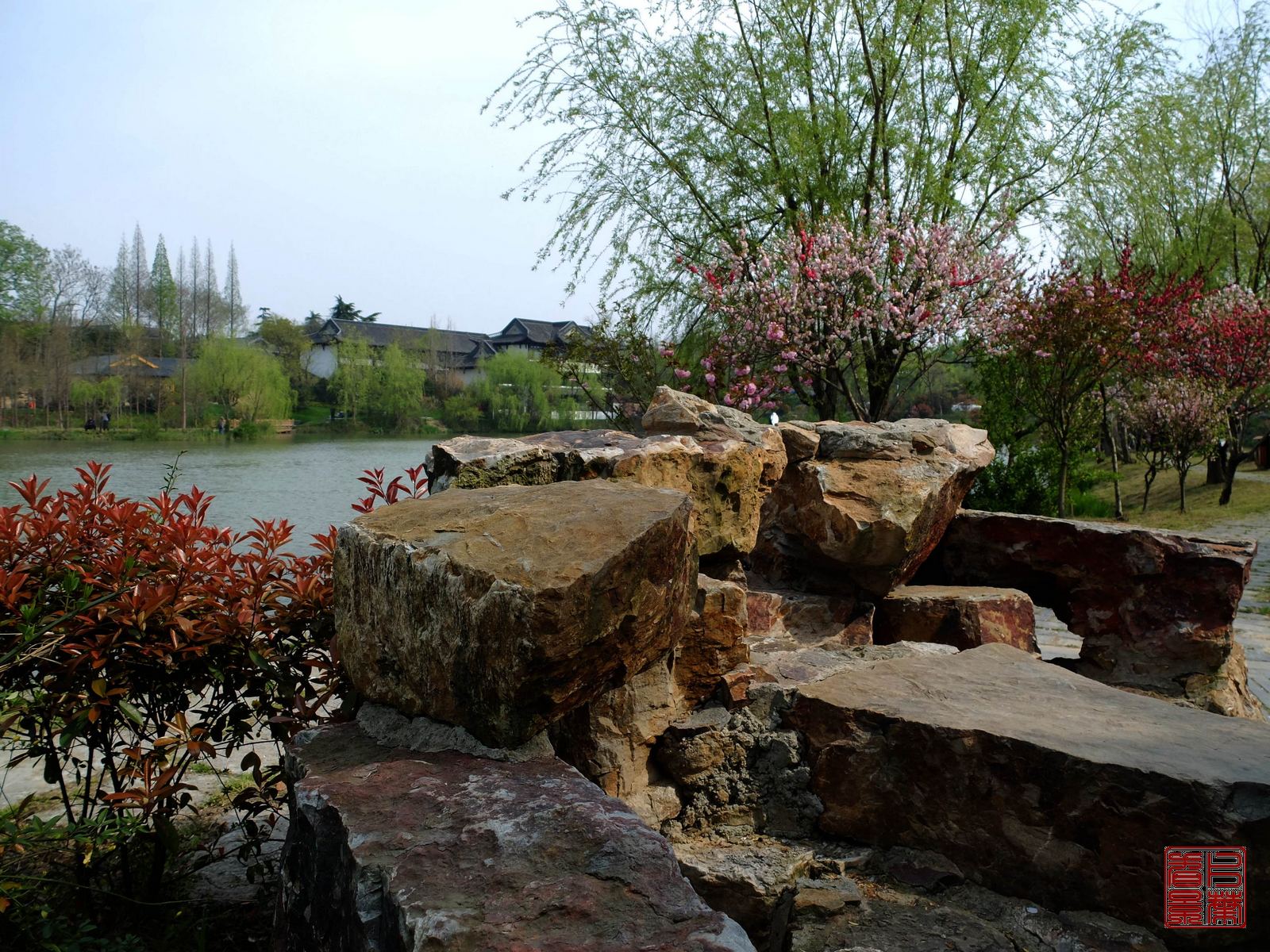   DSCF6781.jpg