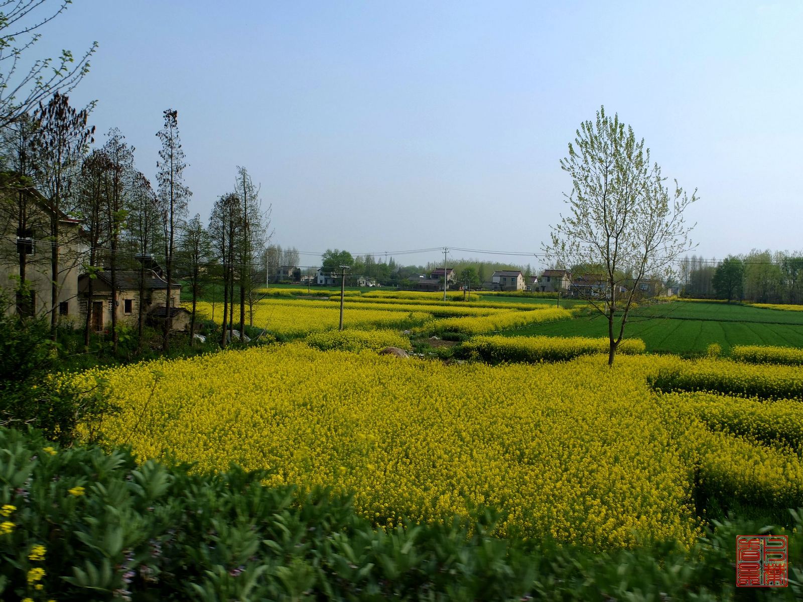   DSCF6943.jpg
